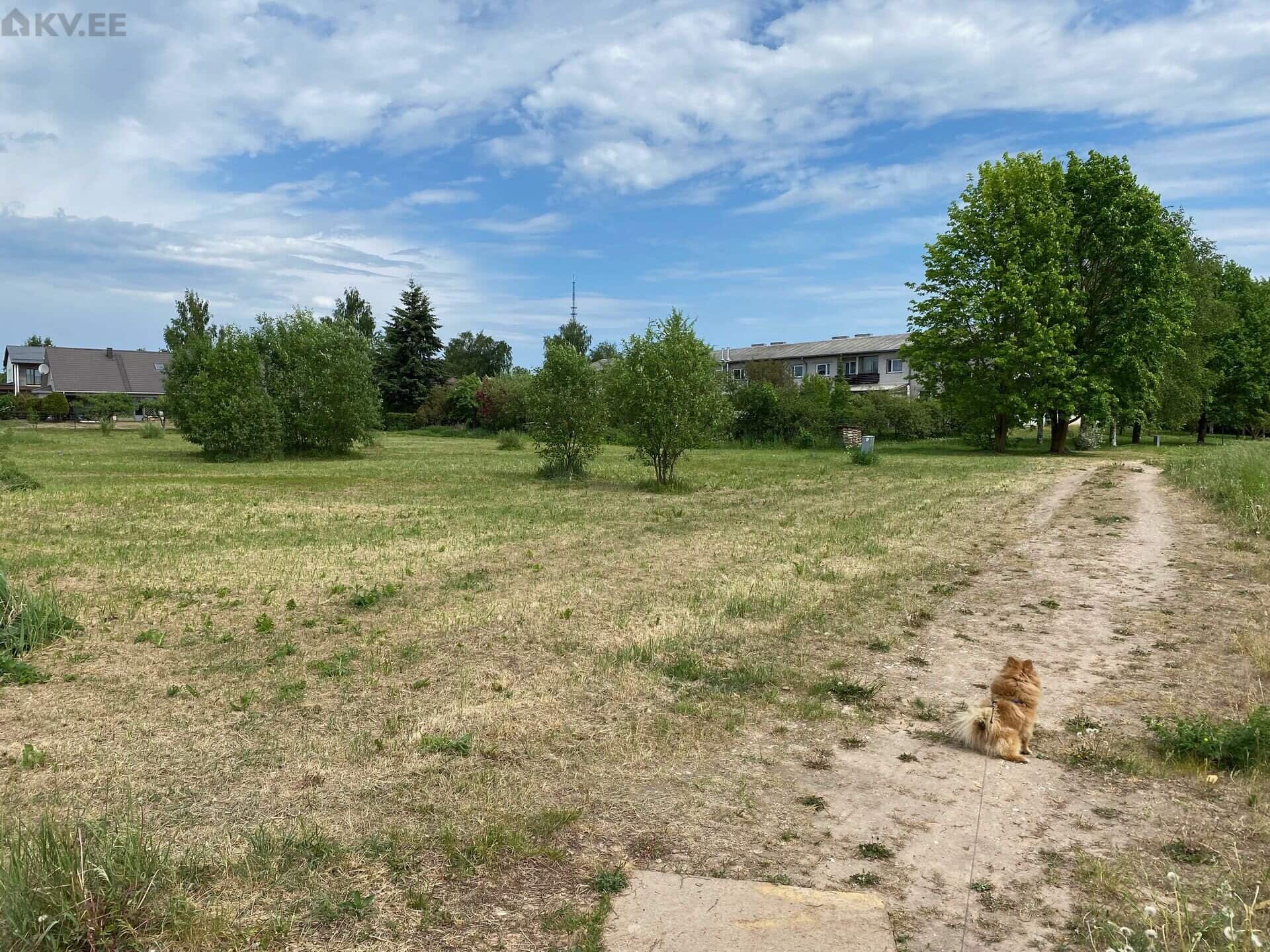 Tartu, Tammelinn, Vindi tn 3, ridaelamu arenduskinnistud photo 4