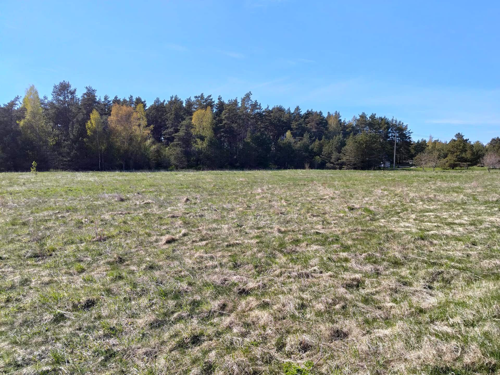 Maa, Saare maakond, Saaremaa vald, photo 2