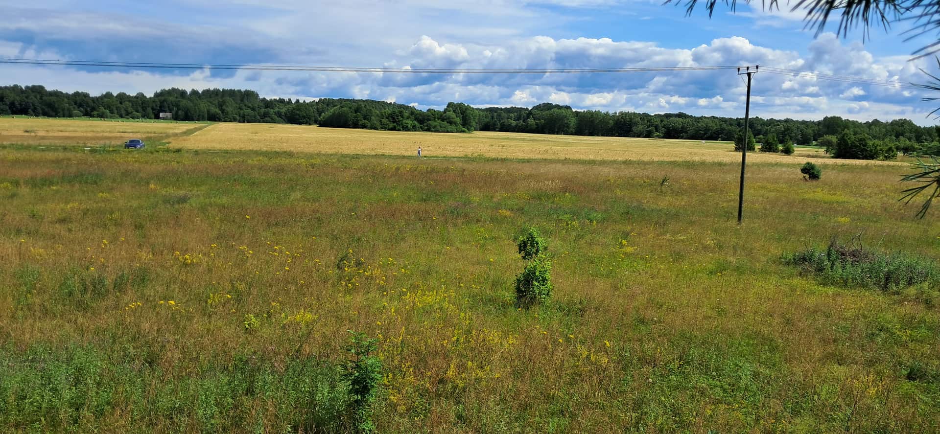 Maa, Saare maakond, Saaremaa vald, photo 3